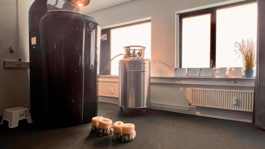 Pelvic chair og cryosauna