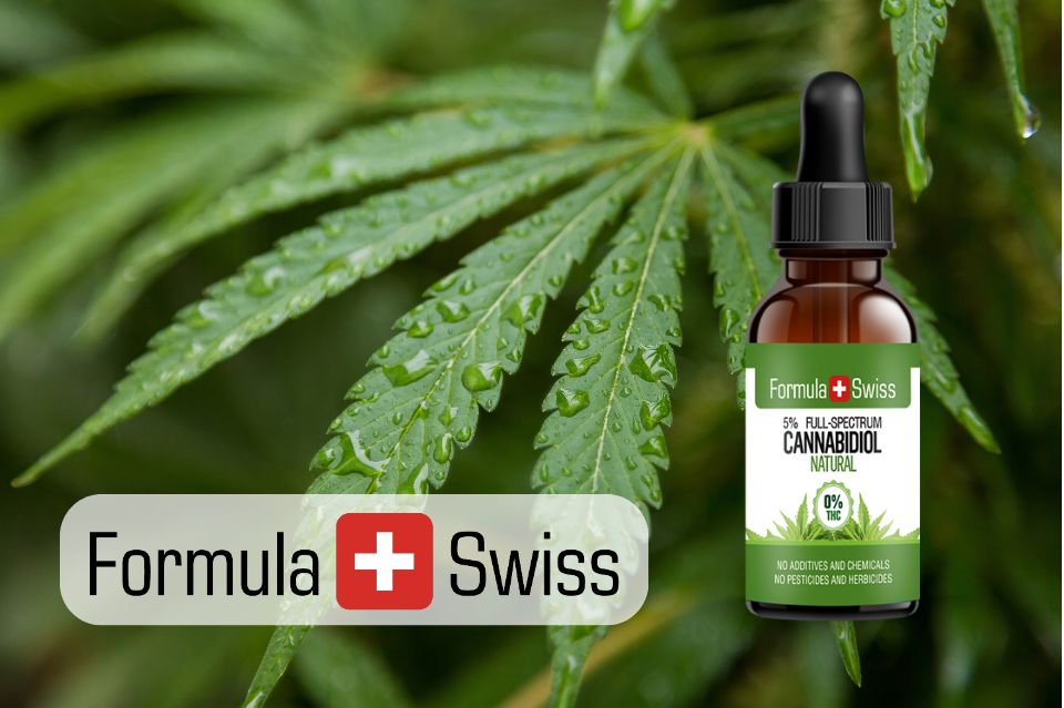 Populære cannabisdråber: Formula swiss’ vækst i danmark