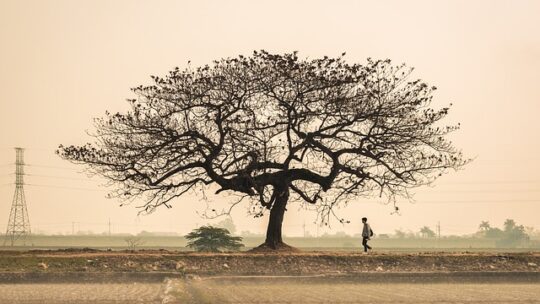 Grøn teknologi: Kan innovation redde klimaet?